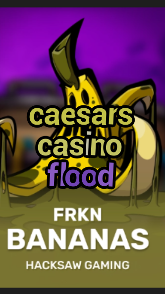caesars casino flood-3xn3u5udepyz9m9w5iat.com